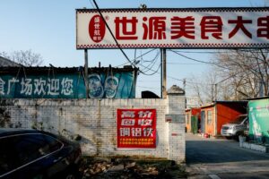 美学哲学：审美经验的本质、崇高感、康德判断力批判与当代艺术中的美学问题