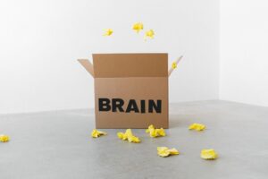 第二大脑：个人知识管理系统如何在信息爆炸时代保留真正有用的知识