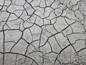 全球变热的科学基础：温室效应、碳循环与气候临界点完整解读