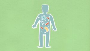 肠道菌群与健康：微生物组科学如何重新定义"人体第二大脑"