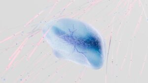 The Neuroscience of Memory: The Hippocampus, Memory Consolidation, and the Molecular Mechanisms of Long- and Short-Term Memory