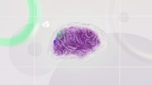 The Neuroscience of Consciousness: Global Workspace Theory, Integrated Information Theory, and Neural Correlates of Consciousness Research