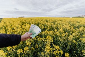 气候金融与绿色债券：如何通过资本市场为气候解决方案融资