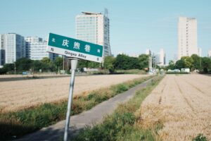 情绪的神经科学：杏仁核的恐惧回路、前额叶情绪调节与创伤记忆的神经机制