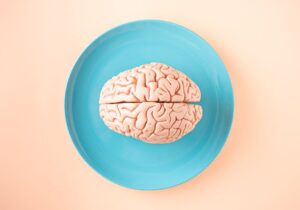 Developmental Neuroscience: Critical Periods in Child Brain Development, Language Acquisition, and the Effect of Bilingualism on the Brain