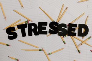The Neurobiology of Stress: The HPA Axis, Cortisol's Double-Edged Effects, and Chronic Stress's Structural Brain Damage