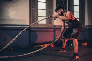 运动效率科学：Zone 2训练、VO2max与力量训练的最优组合