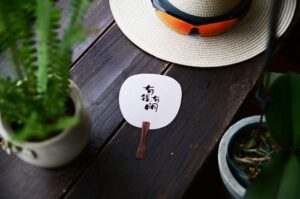 启蒙运动：理性时代、科学革命与现代性政治制度的思想根源
