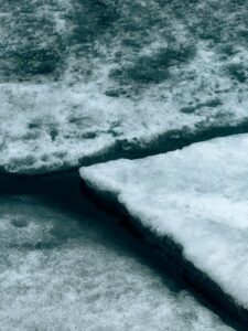 冷疗科学：冰浴与冷水游泳的真实健康效益与风险