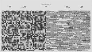 量子生物学：光合作用和鸟类导航中隐藏的量子效应