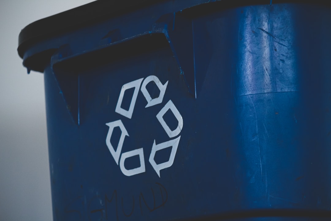 German Waste Separation: Recycling Rules That Actually Matter