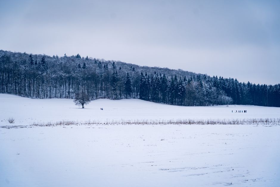 Winter in Germany: How to Survive and Enjoy the Dark Season