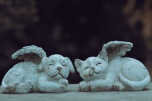 宠物失去与哀伤：失宠之痛的心理学研究与健康悲伤的支持方法