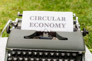 Circular Economy: From Linear to Circular Design, E-Waste, Plastic Pollution, and Extended Producer Responsibility