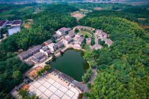 情感智力（EQ）：自我觉察、情绪调节与高质量人际沟通的实践方法