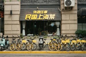 A股量化投资：市场特点、策略适配与本土化因子研究