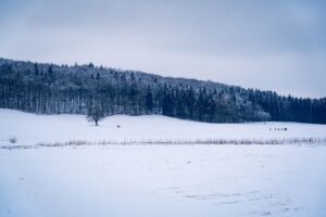German Winter: Managing Seasonal Depression and Short Days