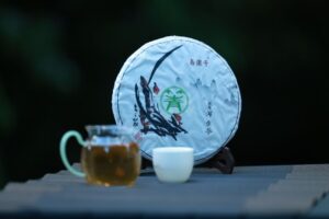 气候变化科学共识：1.5°C与2°C温控目标、碳预算与临界点风险