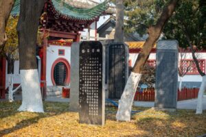 德国的噪音:规则、邻居和文化
