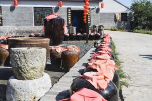 里奥哈以外的西班牙葡萄酒产区：Ribera del Duero、Priorat和Rías Baixas