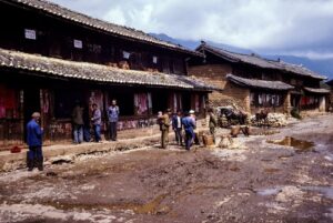 中国三大菜系实地对比：川菜的麻辣哲学、粤菜的鲜味极致与云南的野生食材