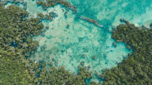 Zanzibar: Indian Ocean Reefs, Stone Town’s UNESCO Heritage, and the African-Arab Cultural Intersection