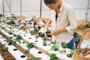 Sustainable Agriculture: Food System Climate Impact, Cultivated Meat/Precision Fermentation, and Agricultural Carbon Sequestration Potential