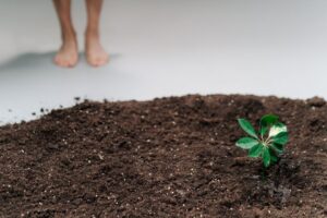 Carbon Accounting and Carbon Neutrality: Personal and Corporate Carbon Footprint Calculation, Reduction Pathways, and the Carbon Offset Controversy